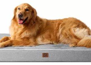 CAMA GRANDE CON ESPUMA CI