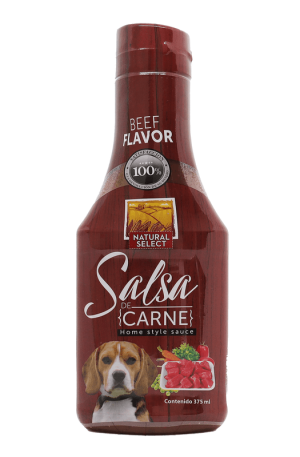 SALSA CARNE X 375 ML