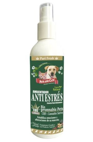 ESENCIA ANTI ESTRES CBD X 240 ML