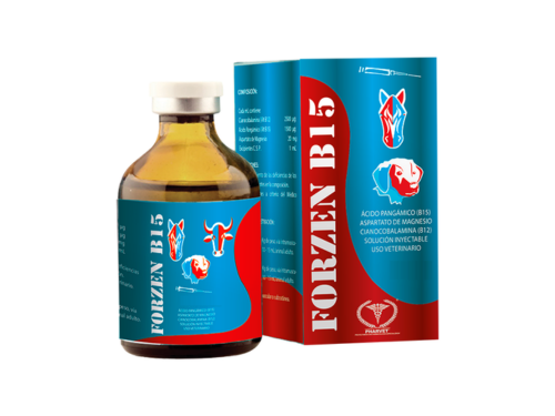 FORZEN B15 20 ML INY