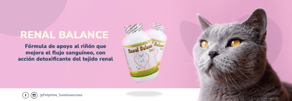 RENAL BALANCE FRASCO 60 TABLETAS - Imagen 2