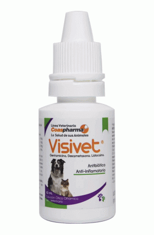 VISIVET 10 ML GENTAMICINA 3 MG + DEXAMETASONA 1 MG + LIDOCAINA 5 MG ANTIBIÓTICO ANTI-INFLAMATORIO