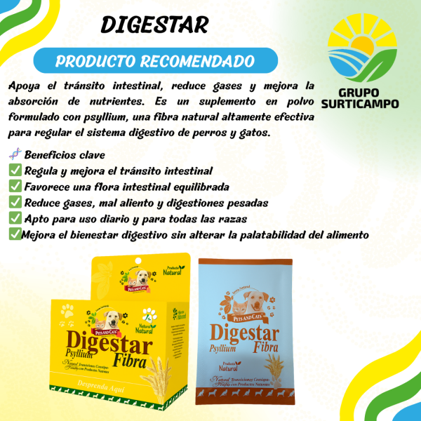 DIGESTAR FIBRA SOBRE 5 GRAMOS (NATURAL FRESHLY) - Imagen 2